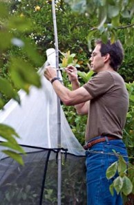 entomology curator