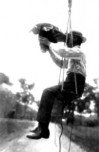 Race horse studies Race horse studies