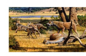 How Dogs Came to Run the World slideshow