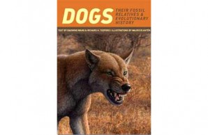 How Dogs Came to Run the World slideshow