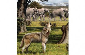 How Dogs Came to Run the World slideshow