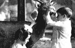 Blind children examining exhibit at the  American Museum of Natural History