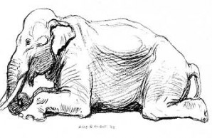 elephant illustration by Charles R. Knight