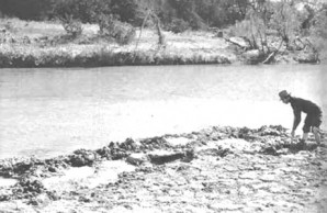 Paluxy River ancient mudflat Paluxy River ancient mudflat