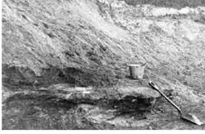 Sandstone at Holloman