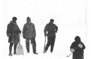 shovels shovels