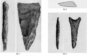 Tillman County fossils