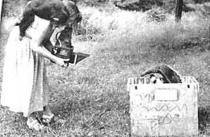 child photographing anteater