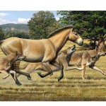 Aelurodon ferox pack pursues a three-toed horse
