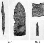 artifacts fossil bison