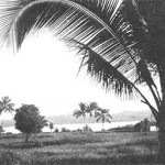 government coast village