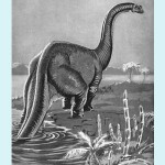 sauropod illustration