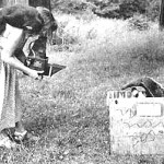 child photographing anteater